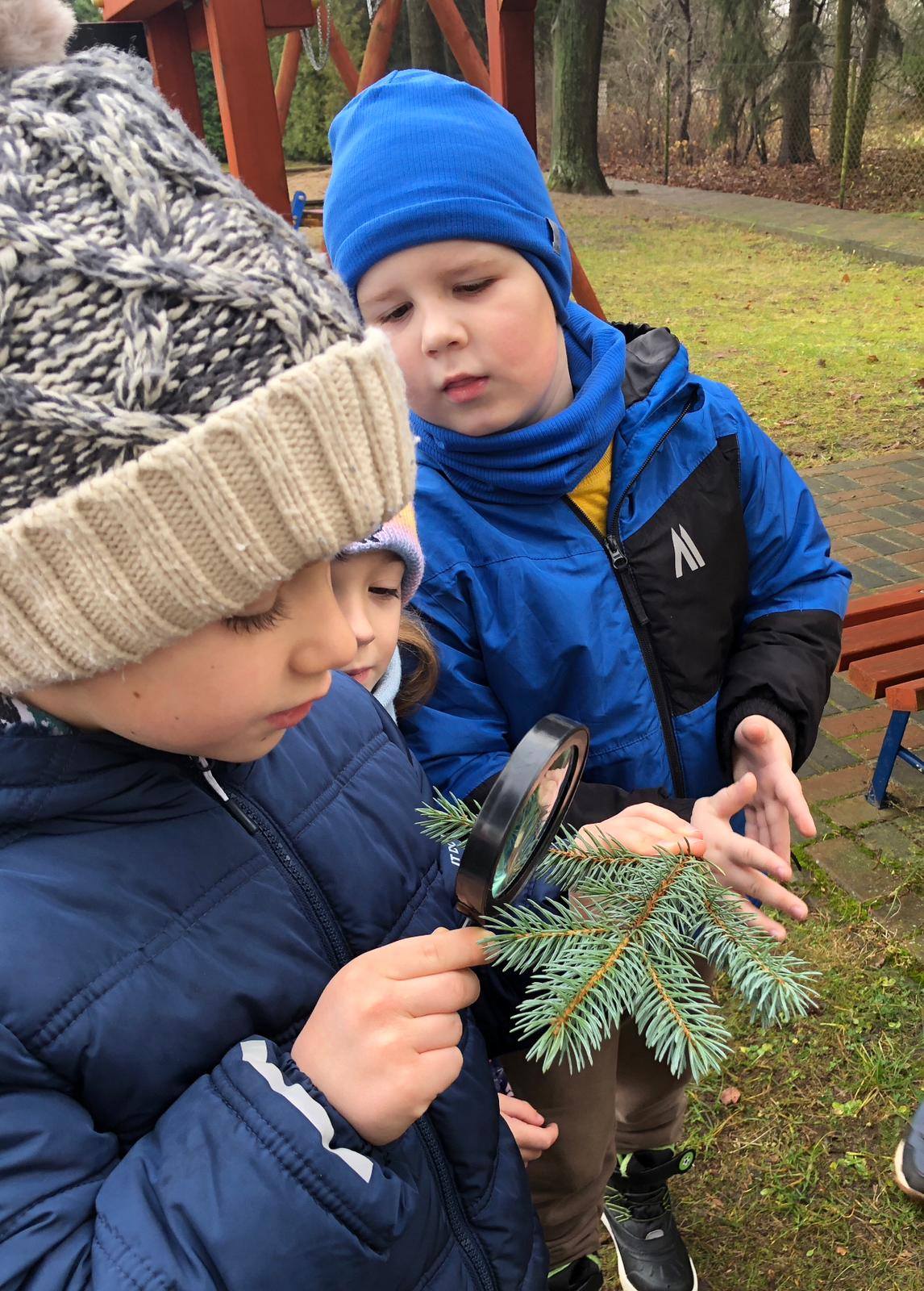 600152545 1254572946479248 1016738385497504408 n