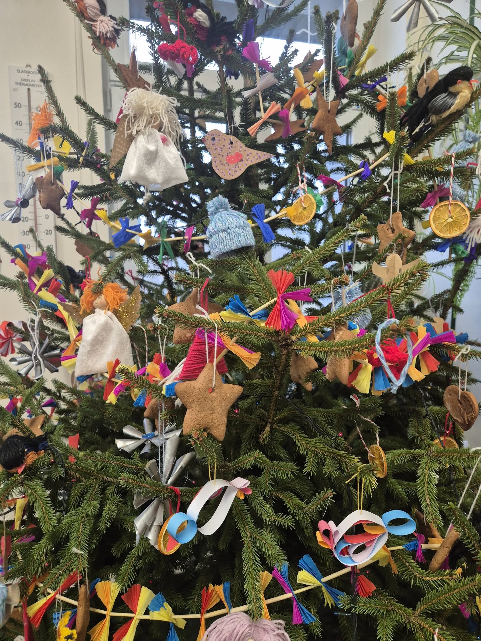 599959752 122192093486585730 6036421165252674202 n