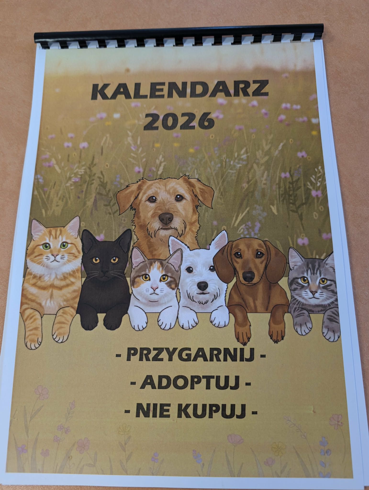 615354152 1343348010927134 6007746862670608773 n